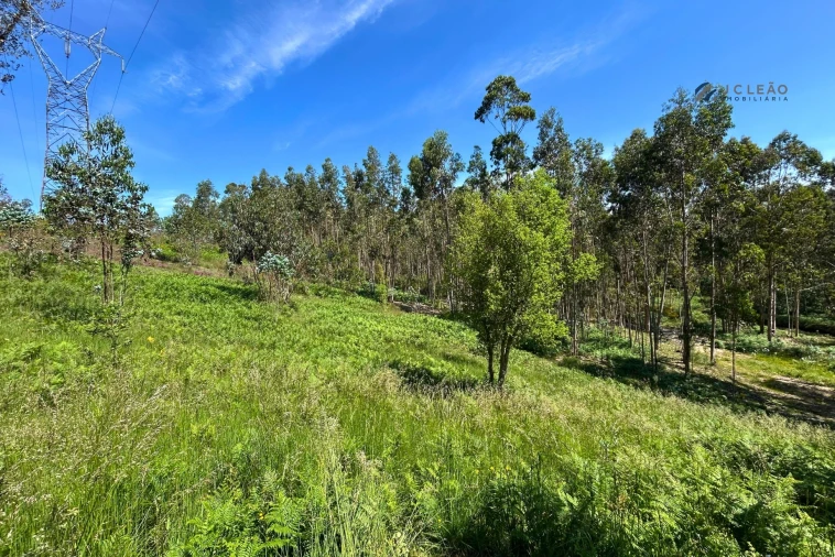 Terreno para Venda em Lagares e Figueira Foto 8