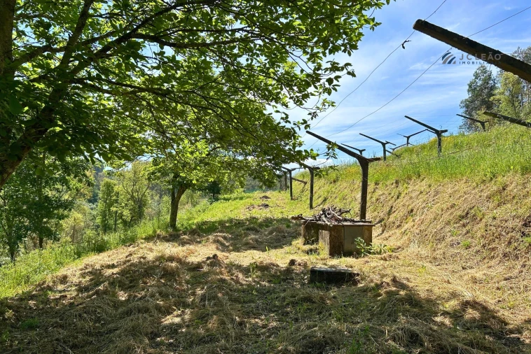 Terreno para Venda em Lagares e Figueira Foto 14