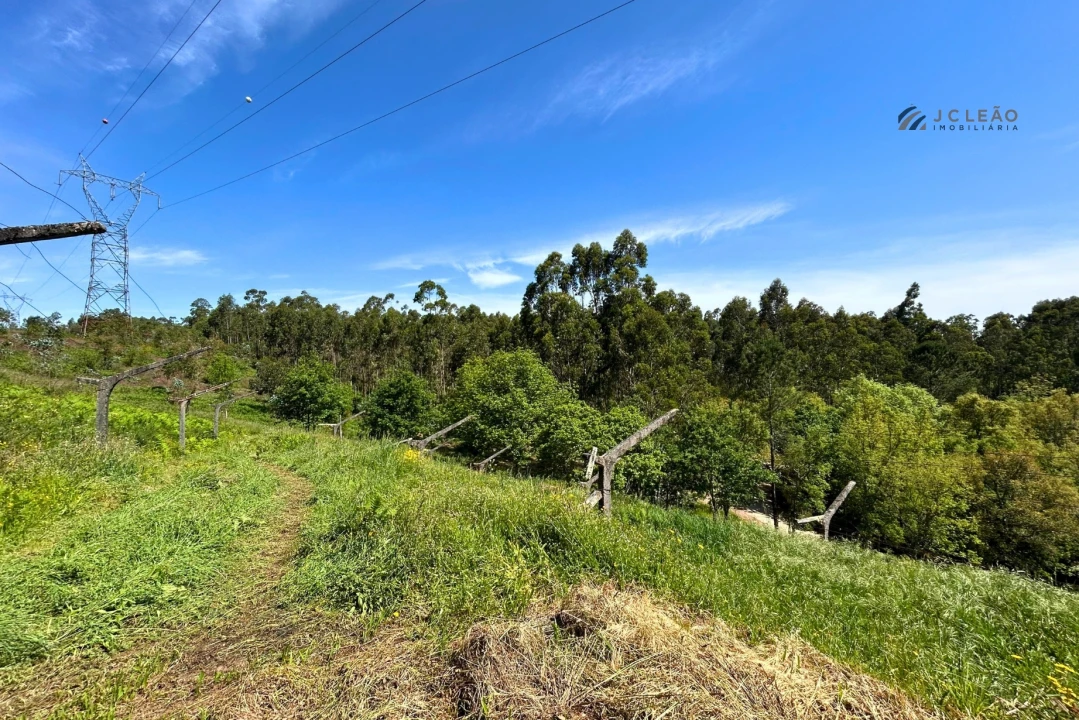 Terreno para Venda em Lagares e Figueira Foto 1