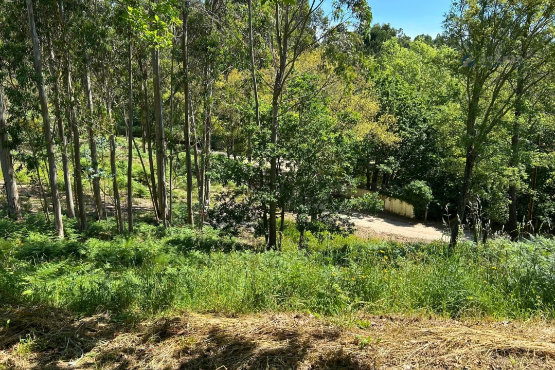 Terreno para Venda em Lagares e Figueira Foto 16