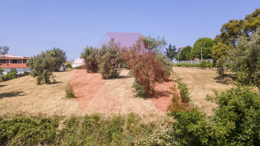Terreno para Venda em Tabua Foto 3