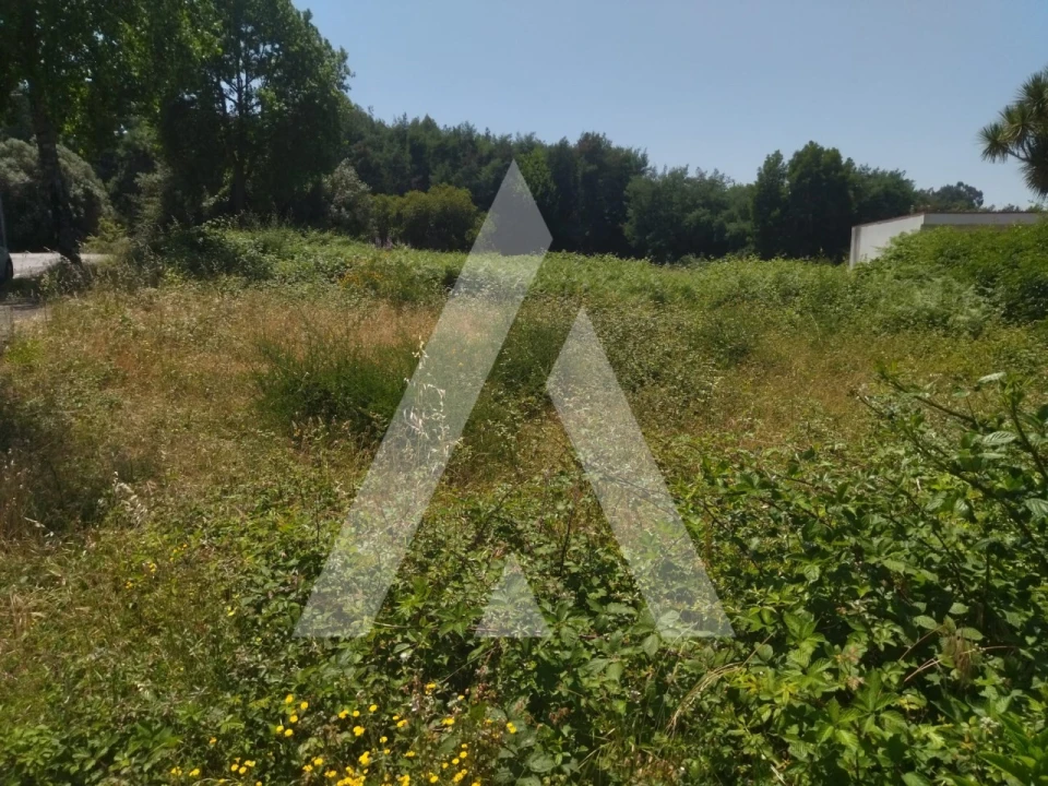 Terreno para Venda em Arca e Ponte de Lima Foto 2