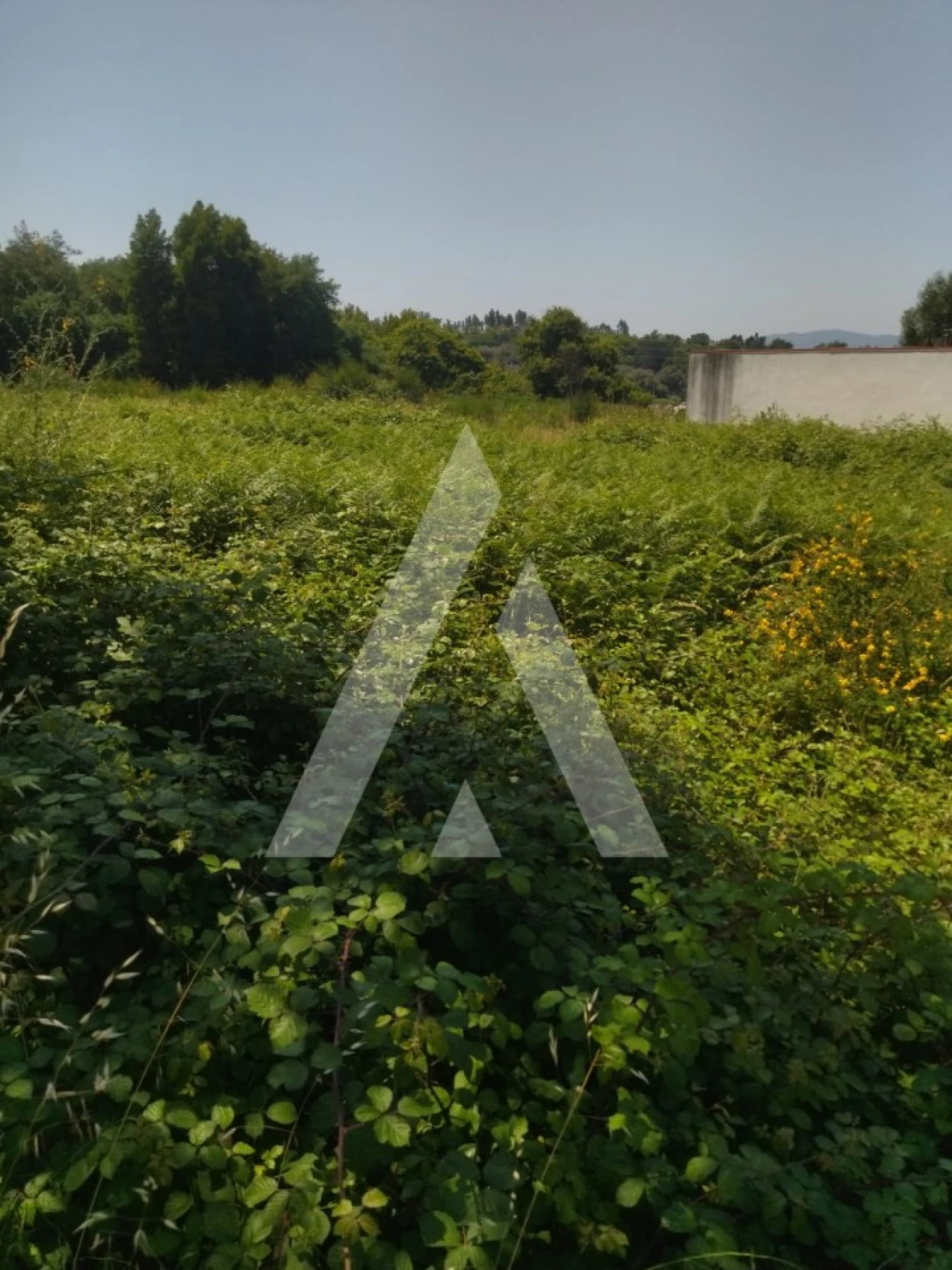 Terreno para Venda em Arca e Ponte de Lima Foto 4