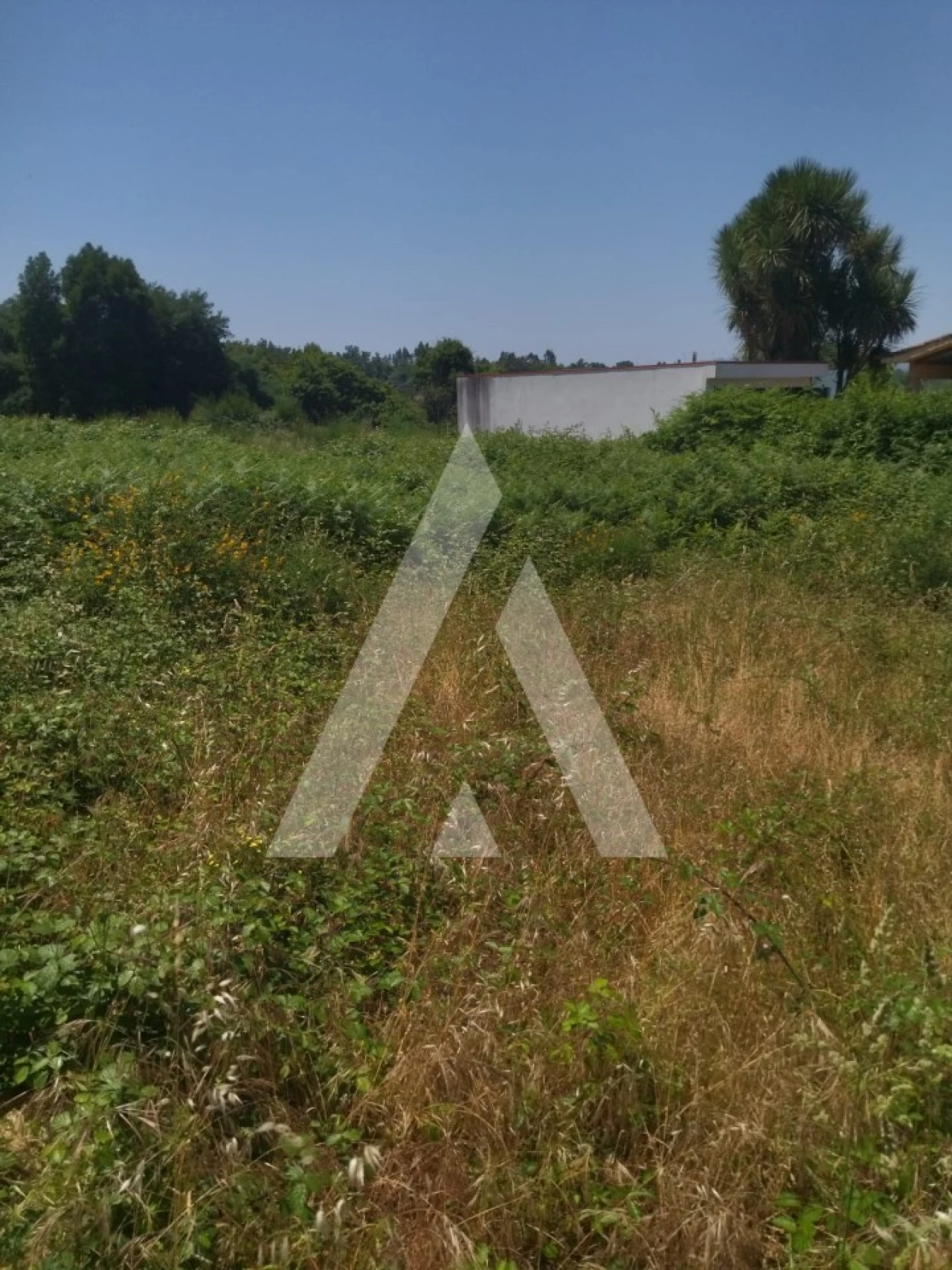 Terreno para Venda em Arca e Ponte de Lima Foto 6