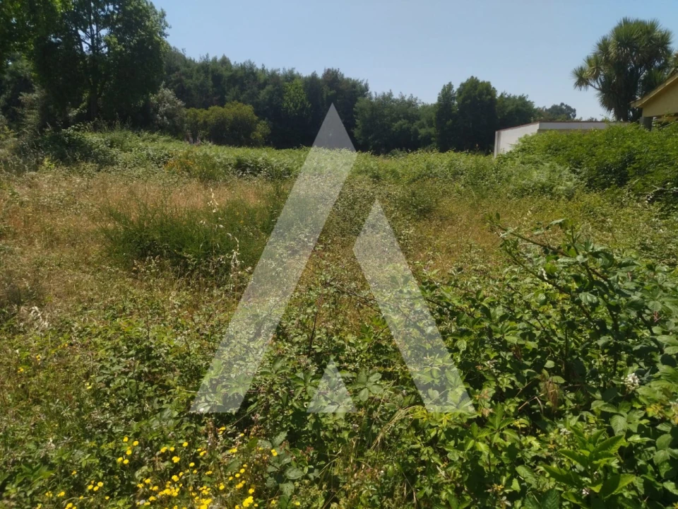 Terreno para Venda em Arca e Ponte de Lima Foto 1