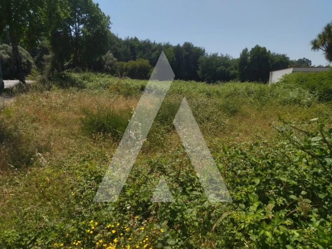 Terreno para Venda em Arca e Ponte de Lima Foto 2