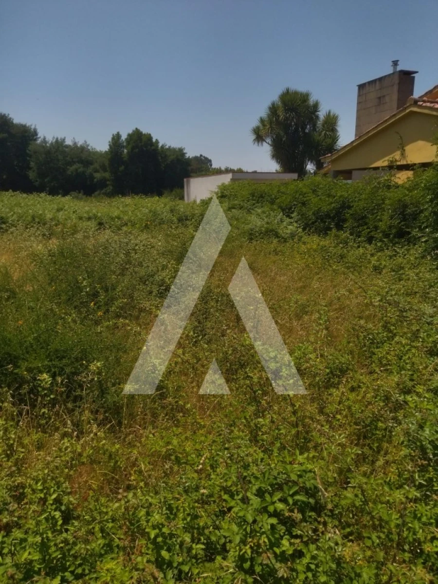Terreno para Venda em Arca e Ponte de Lima Foto 5