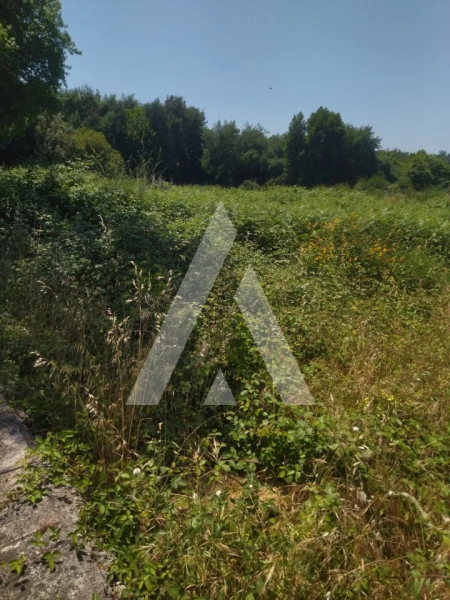 Terreno para Venda em Arca e Ponte de Lima Foto 7