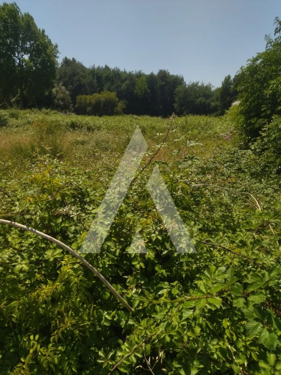 Terreno para Venda em Arca e Ponte de Lima Foto 8