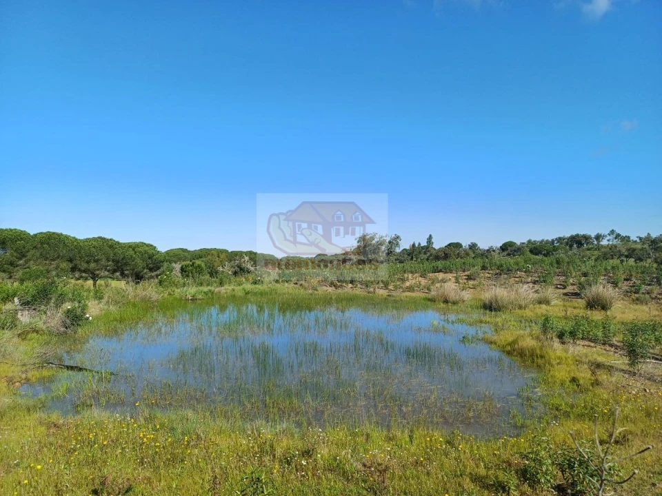 Terreno para Venda em Melides Foto 3