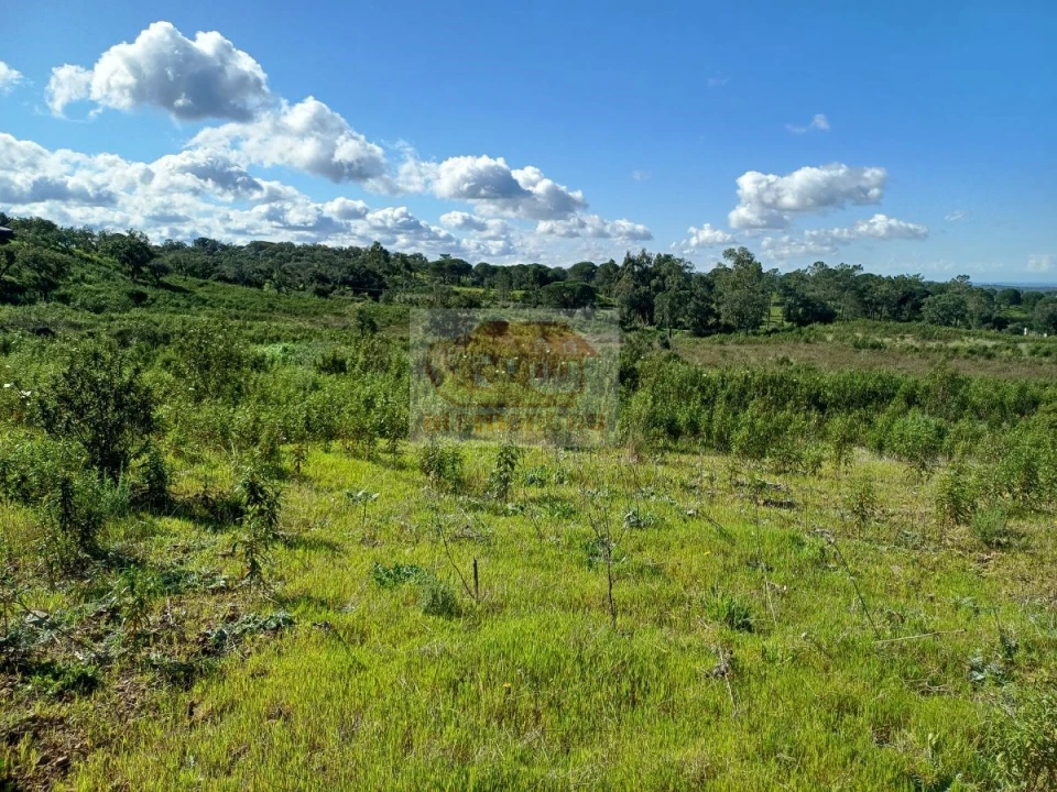 Terreno para Venda em Melides Foto 12