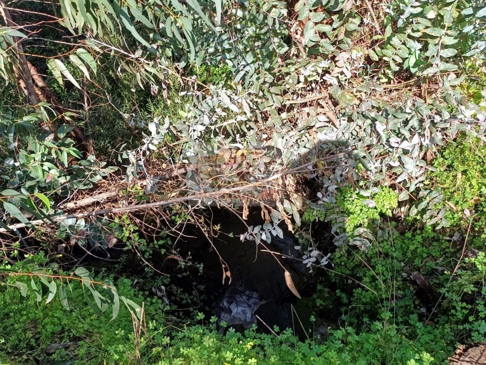 Terreno para Venda em Melides Foto 13