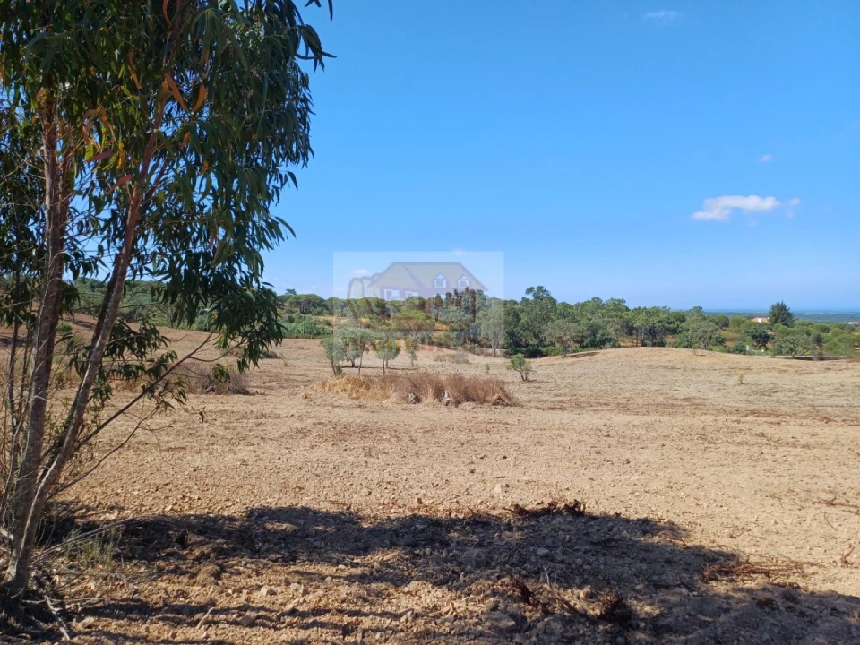 Terreno para Venda em Melides Foto 7