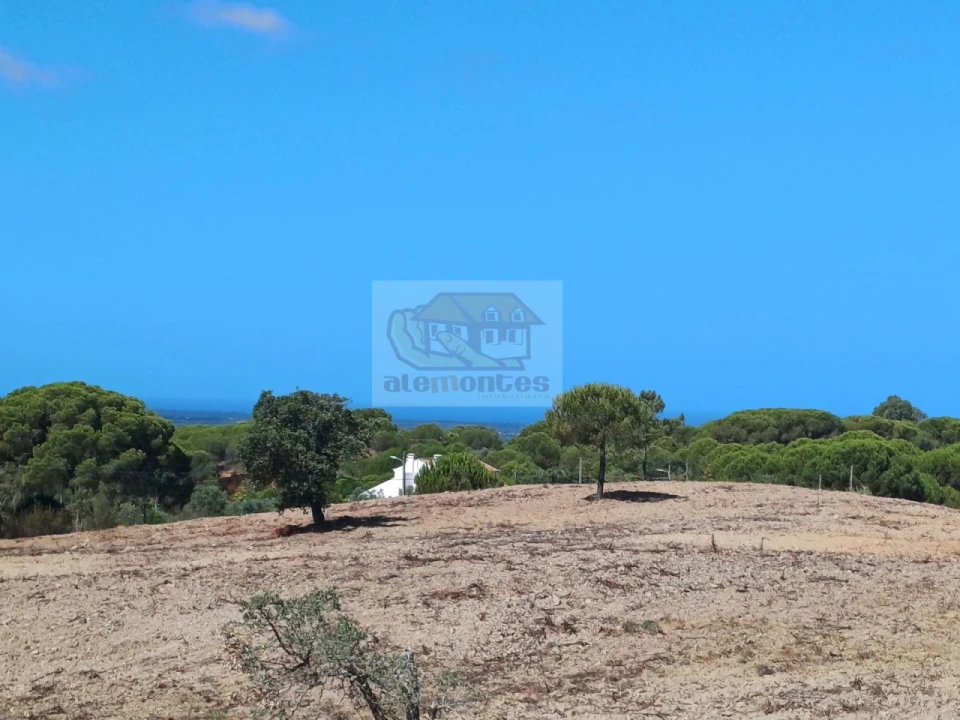 Terreno para Venda em Melides Foto 8