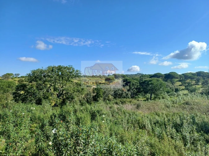 Terreno para Venda em Melides Foto 9