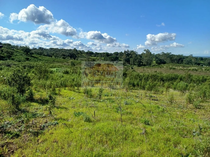 Terreno para Venda em Melides Foto 12