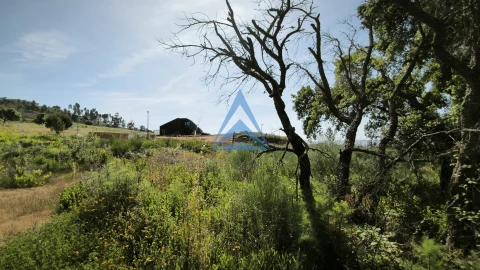 Terreno para Venda em Constancia