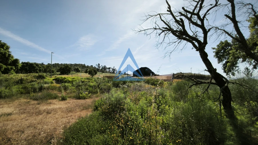 Terreno para Venda em Constancia Foto 16
