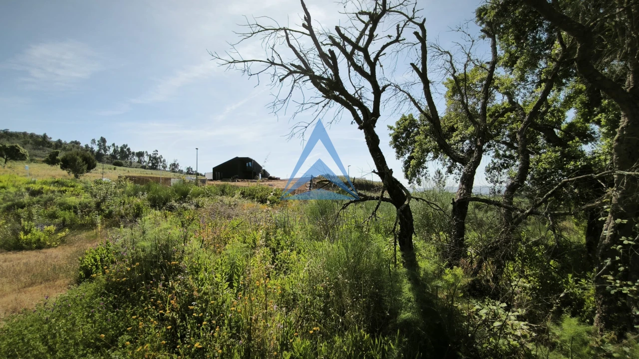 Terreno para Venda em Constancia Foto 19