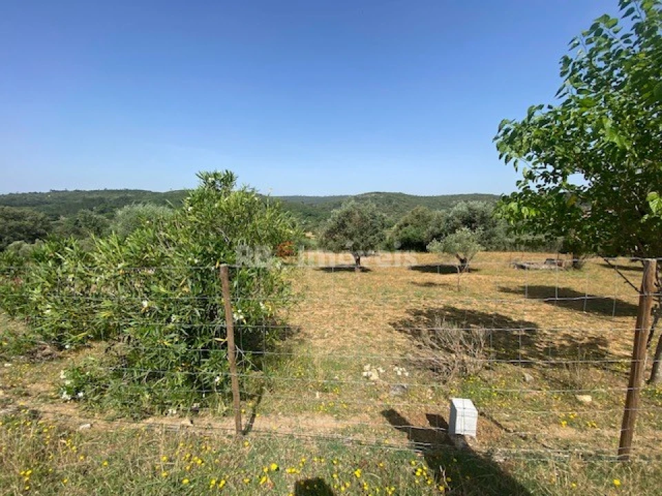 Moradia T4 para Venda em Assentiz Foto 24