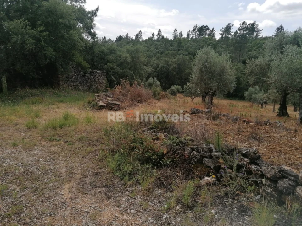 Terreno para Venda em Além da Ribeira e Pedreira Foto 3