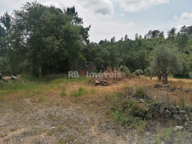 Terreno para Venda em Além da Ribeira e Pedreira