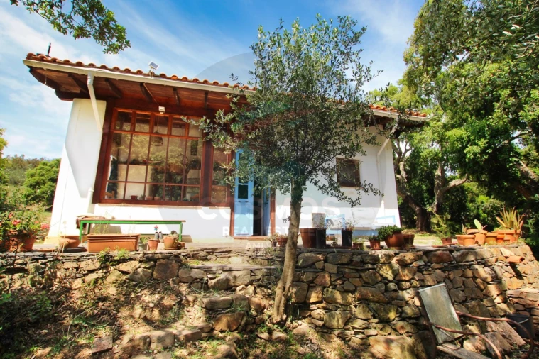 Terreno Misto para Venda em Aljezur Foto 1