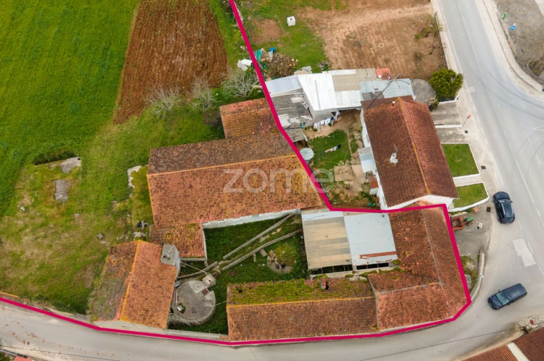 Terreno para Venda em Aljubarrota Foto 23