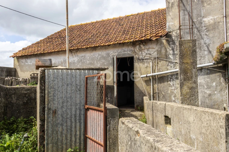 Terreno para Venda em Aljubarrota Foto 24