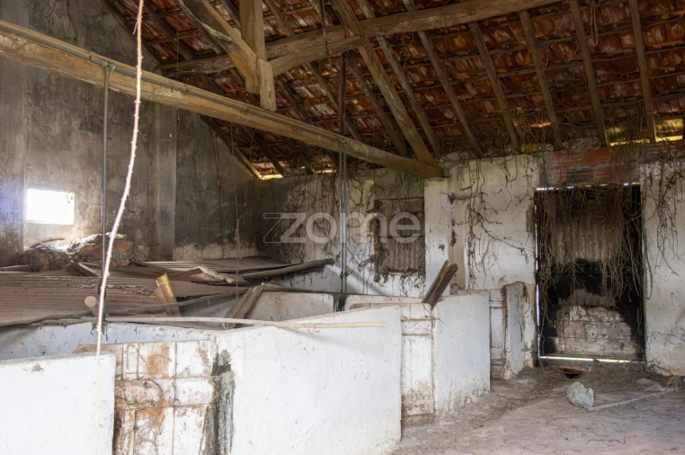 Terreno para Venda em Aljubarrota Foto 9