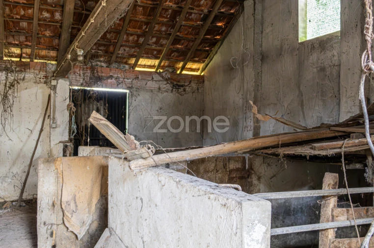 Terreno para Venda em Aljubarrota Foto 10