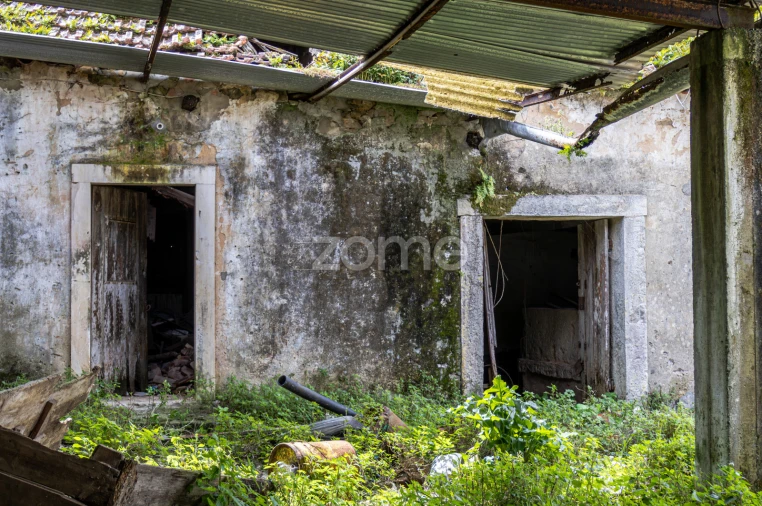 Terreno para Venda em Aljubarrota Foto 15