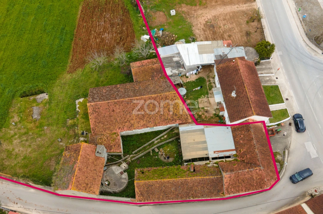 Terreno para Venda em Aljubarrota Foto 4