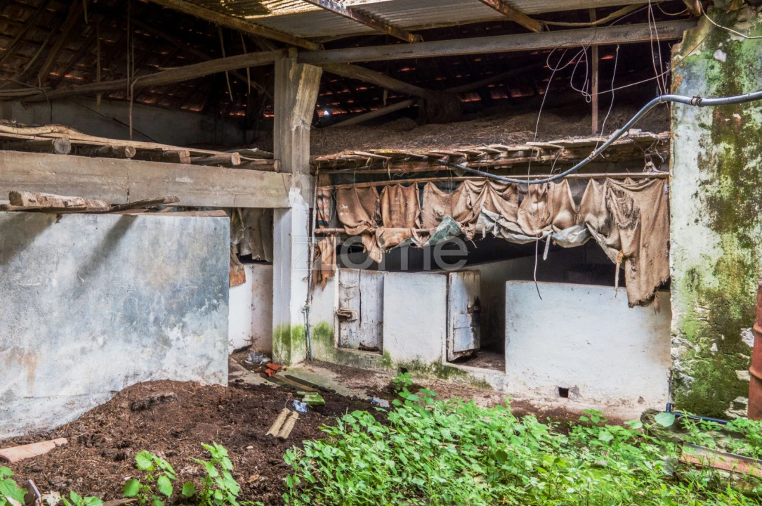 Terreno para Venda em Aljubarrota Foto 6