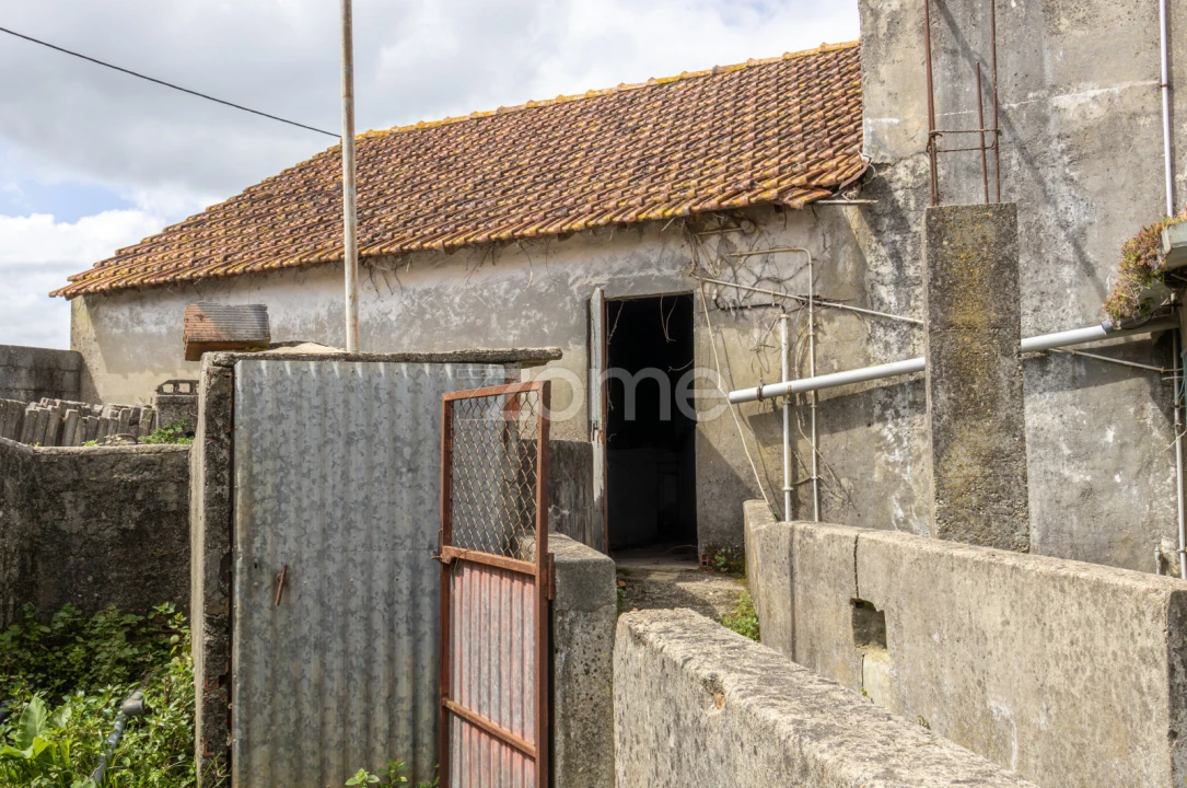 Terreno para Venda em Aljubarrota Foto 8