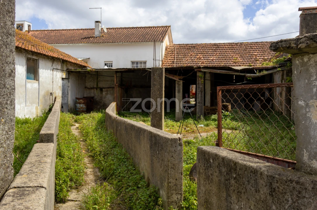 Terreno para Venda em Aljubarrota Foto 11