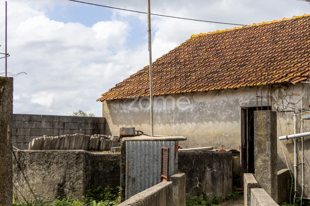 Terreno para Venda em Aljubarrota Foto 12