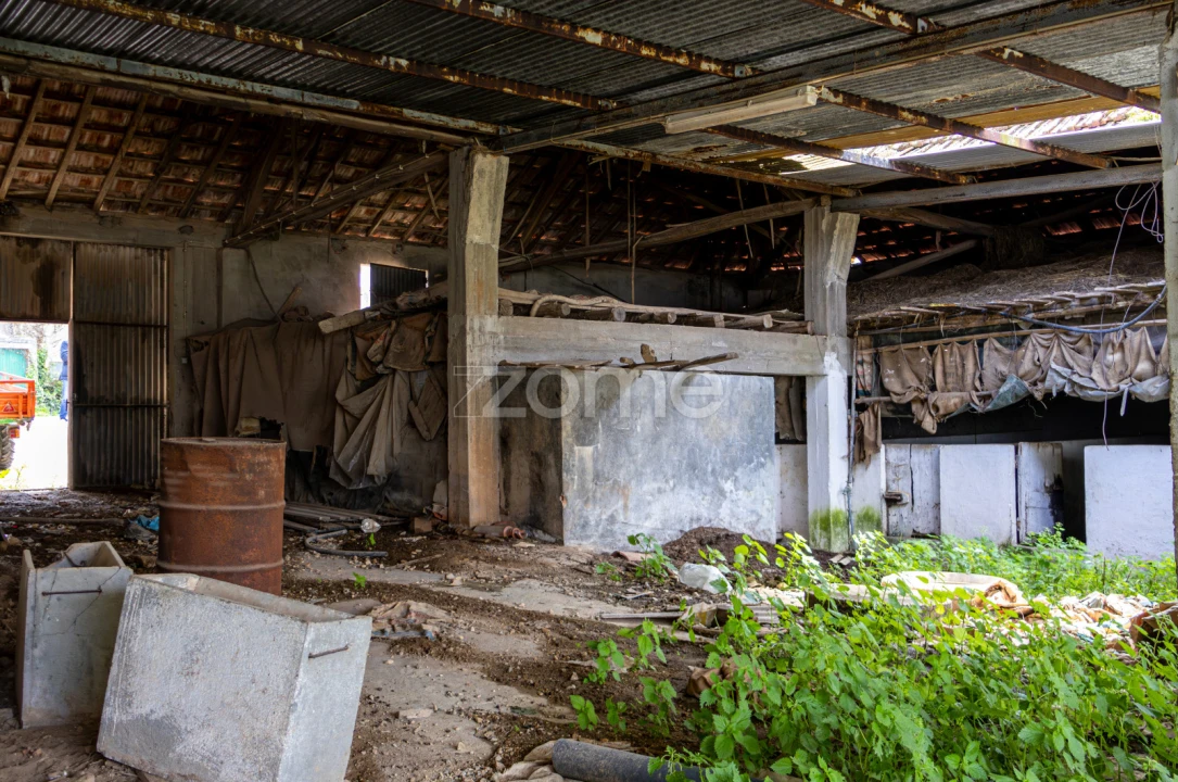 Terreno para Venda em Aljubarrota Foto 13