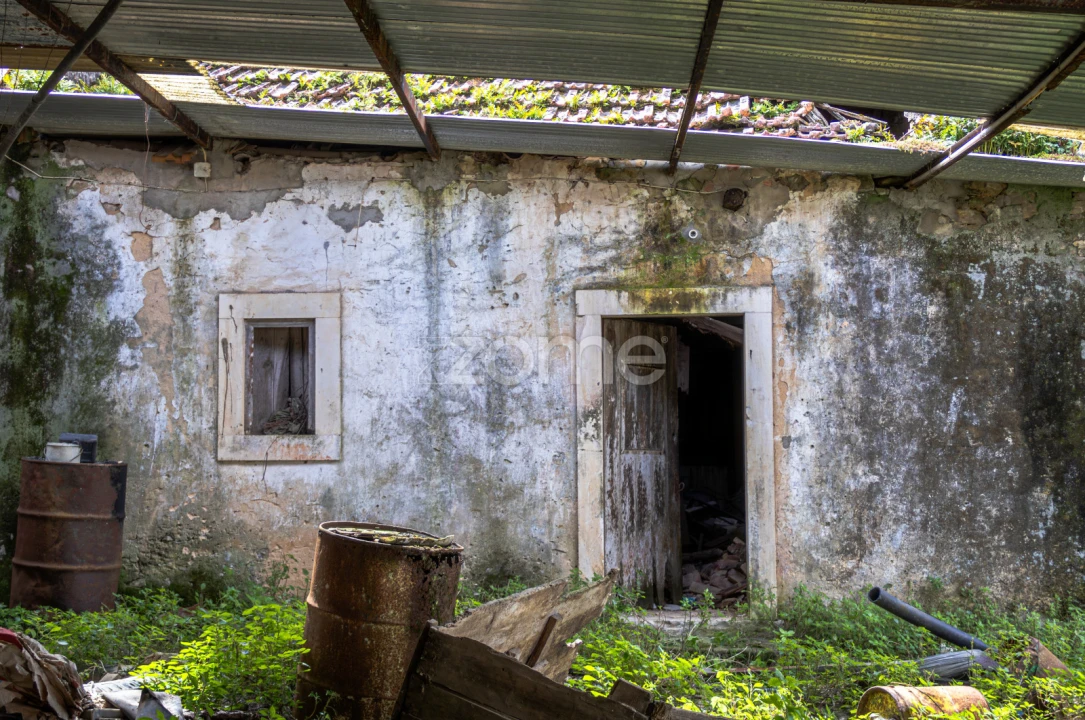 Terreno para Venda em Aljubarrota Foto 14