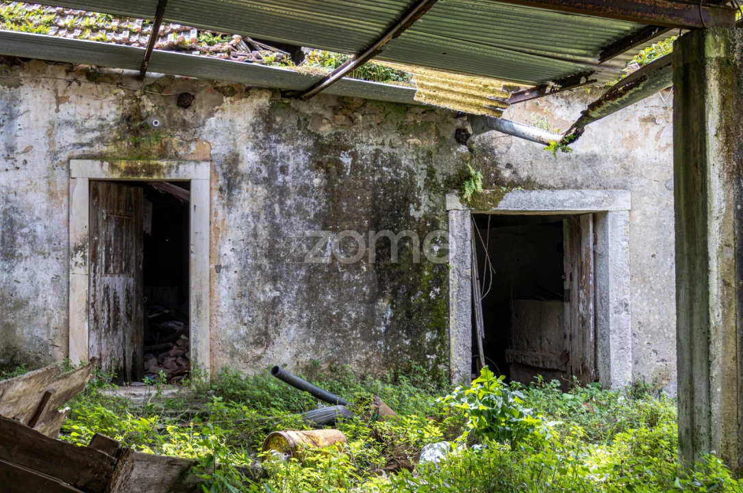 Terreno para Venda em Aljubarrota Foto 15