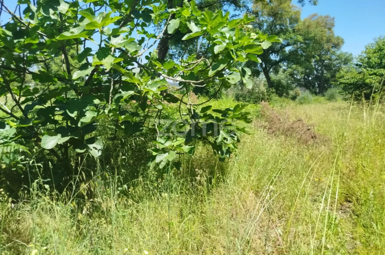 Terreno para Venda em Espinho Foto 9