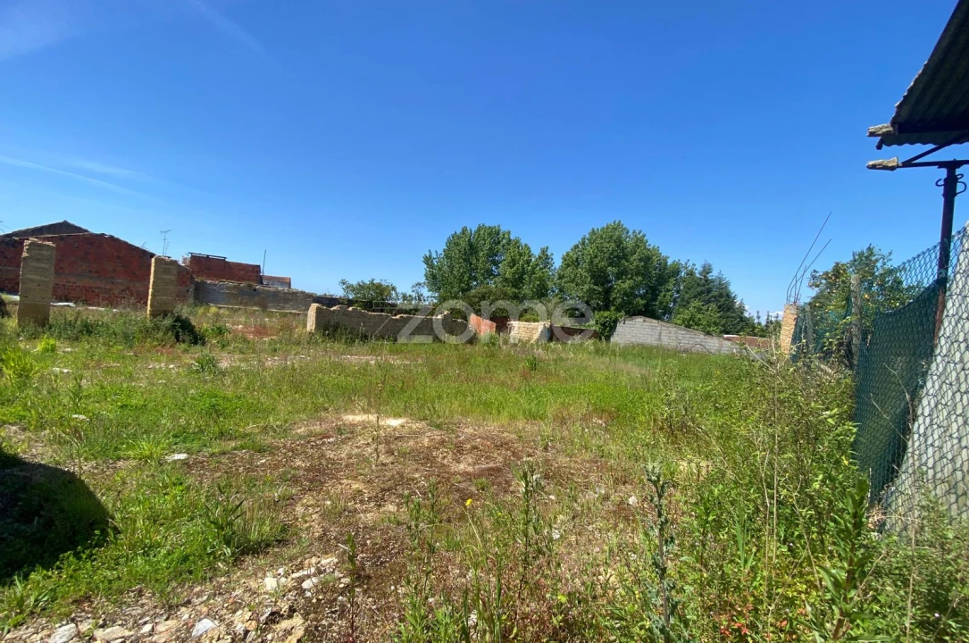 Terreno para Venda em Sepins e Bolho Foto 7