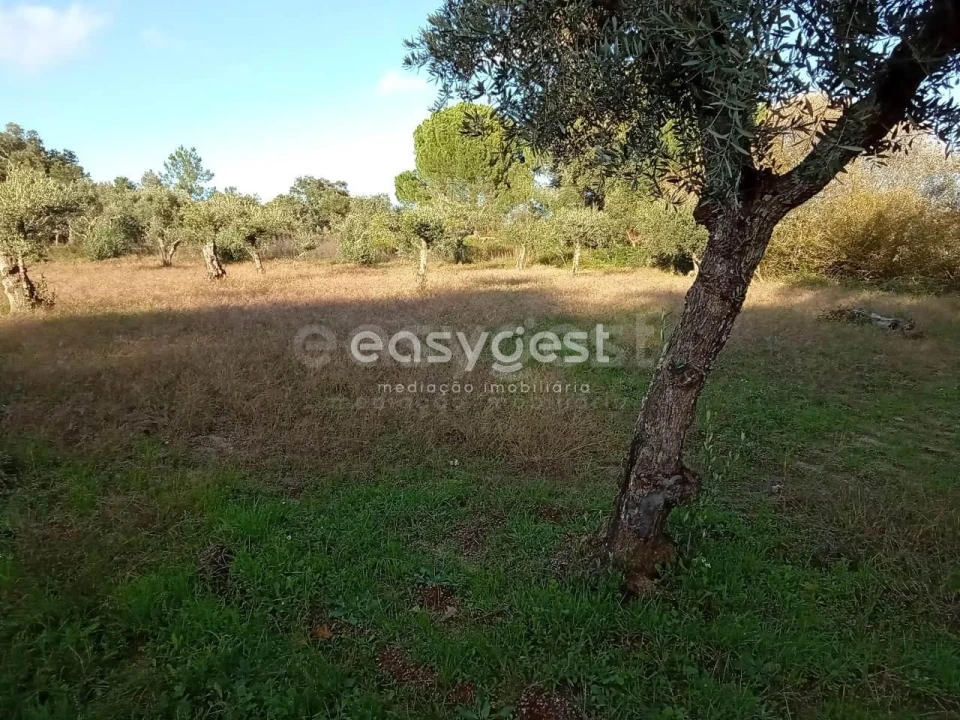 Terreno Agricola ou Rústico para Venda em Póvoa de Rio de Moinhos e Cafede Foto 3