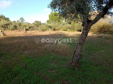 Terreno Agricola ou Rústico para Venda em Póvoa de Rio de Moinhos e Cafede