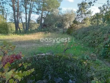 Terreno Agricola ou Rústico para Venda em Póvoa de Rio de Moinhos e Cafede