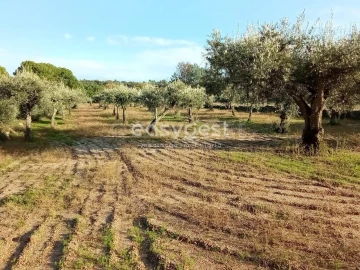 Terreno Agricola ou Rústico para Venda em Póvoa de Rio de Moinhos e Cafede