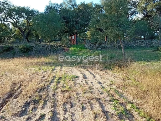 Terreno Agricola ou Rústico para Venda em Póvoa de Rio de Moinhos e Cafede Foto 4