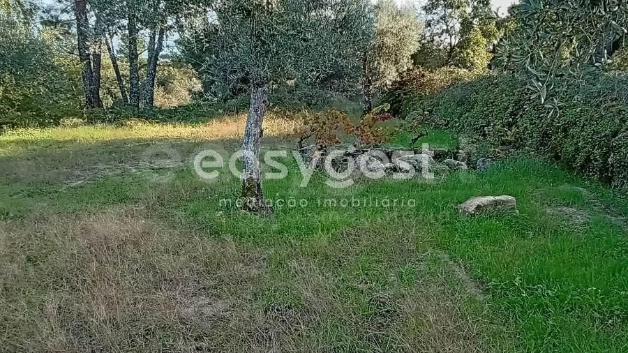 Terreno Agricola ou Rústico para Venda em Póvoa de Rio de Moinhos e Cafede
