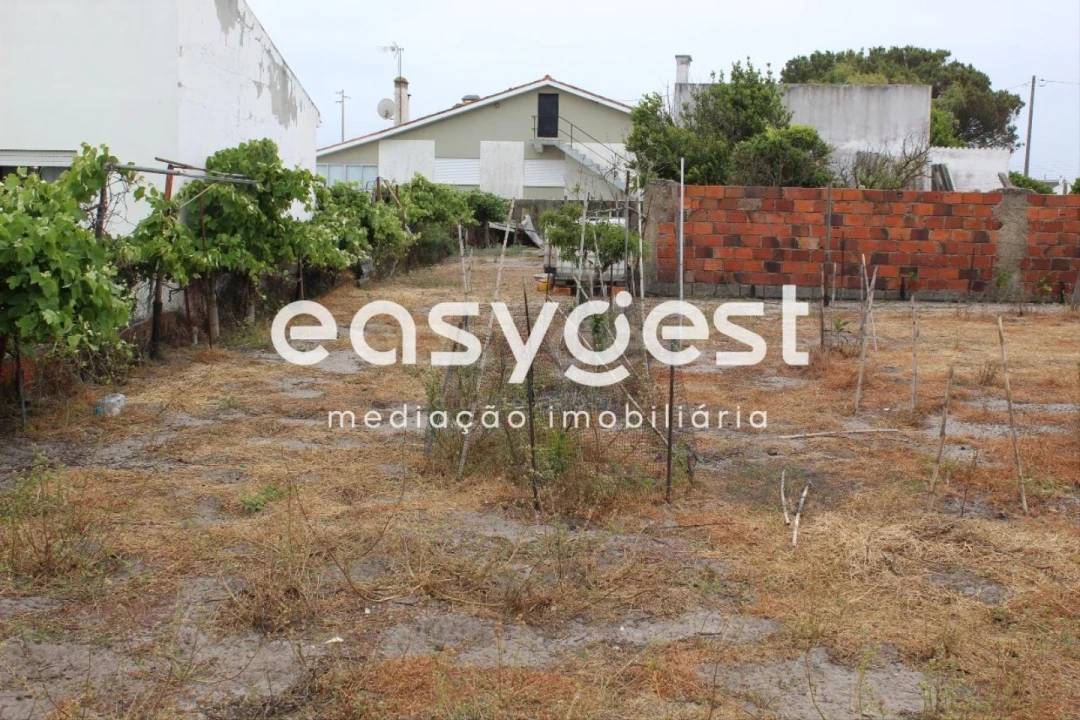 Terreno Agricola ou Rústico para Venda em Vieira de Leiria Foto 1