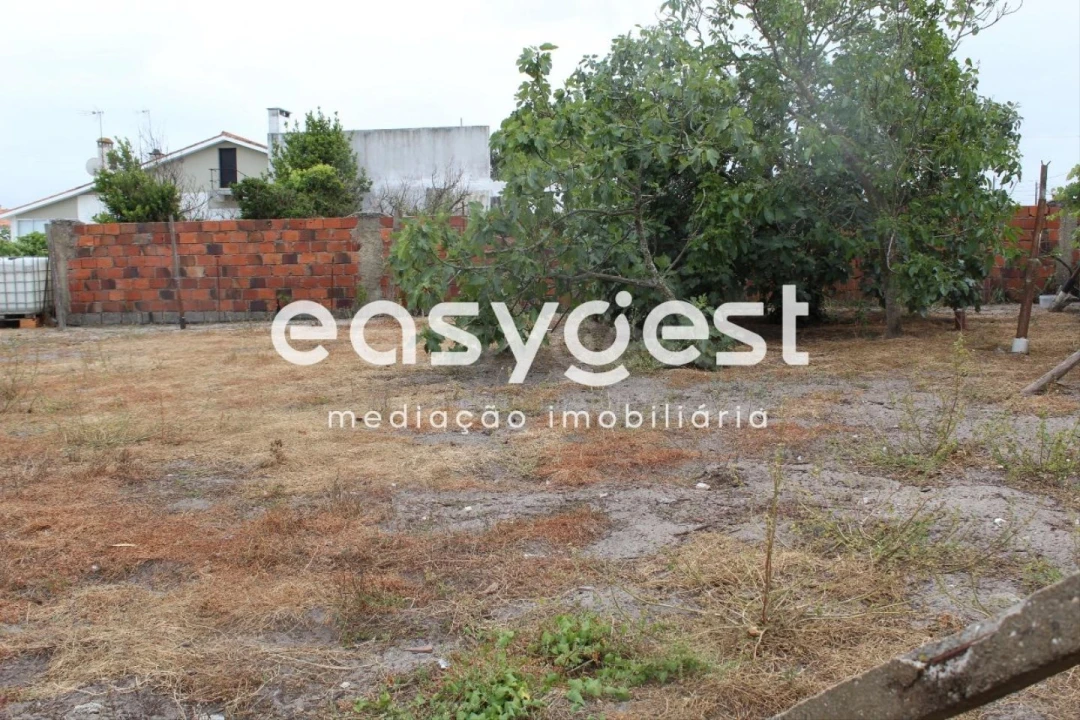 Terreno Agricola ou Rústico para Venda em Vieira de Leiria Foto 2